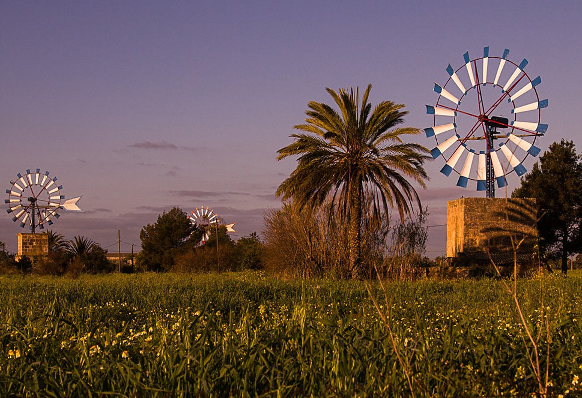 Neue Hoffnung für die Windmühlen bei Palmas Flughafen